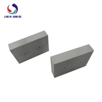 Carbide Plate (4)